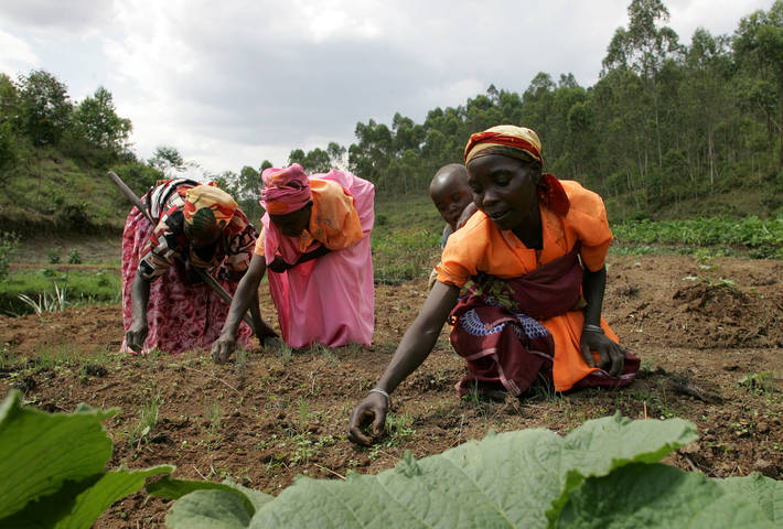 Promoção da agricultura acelera fim da pobreza em Moçambique 