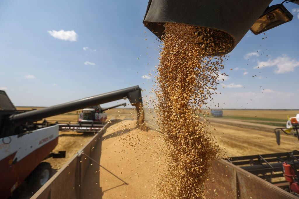Acordos sobre cereais permitem escoar dez milhões de toneladas
