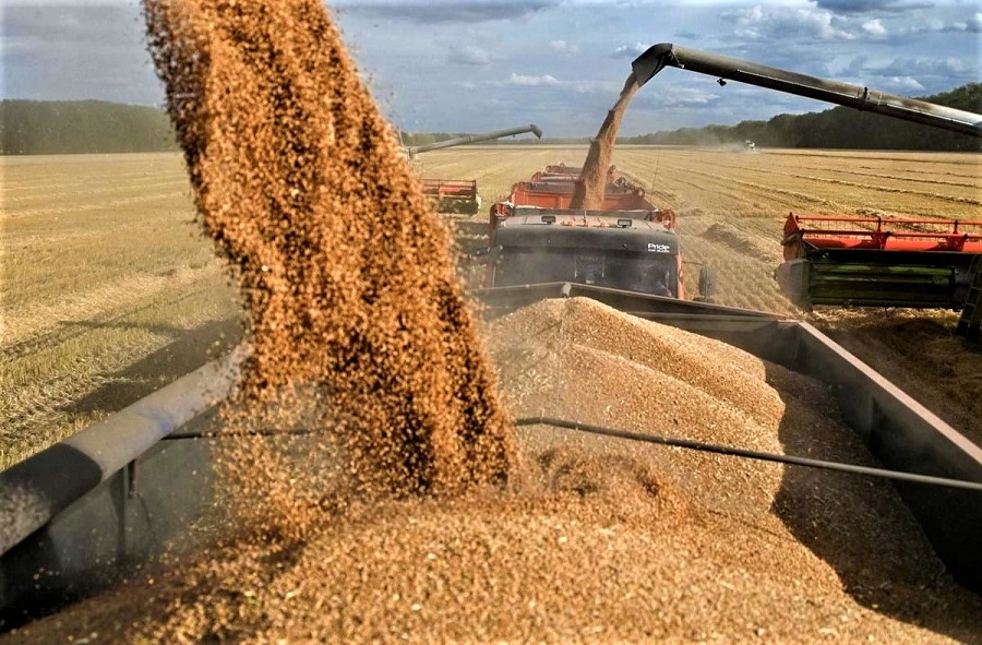 Preços dos cereais cresce fortemente com ruptura de acordo de exportação 